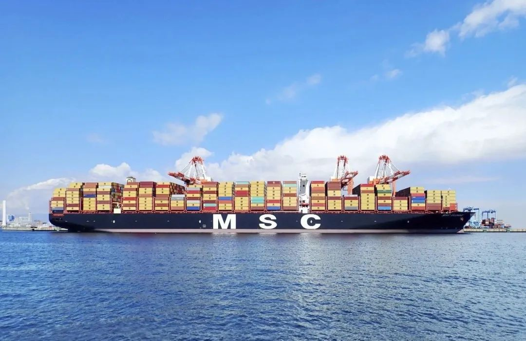 国际海运物流公司