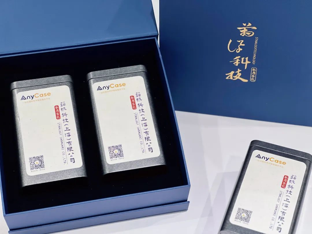 国际物流数字化供应商