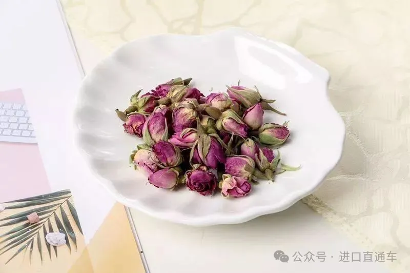 国际物流供应链管理平台