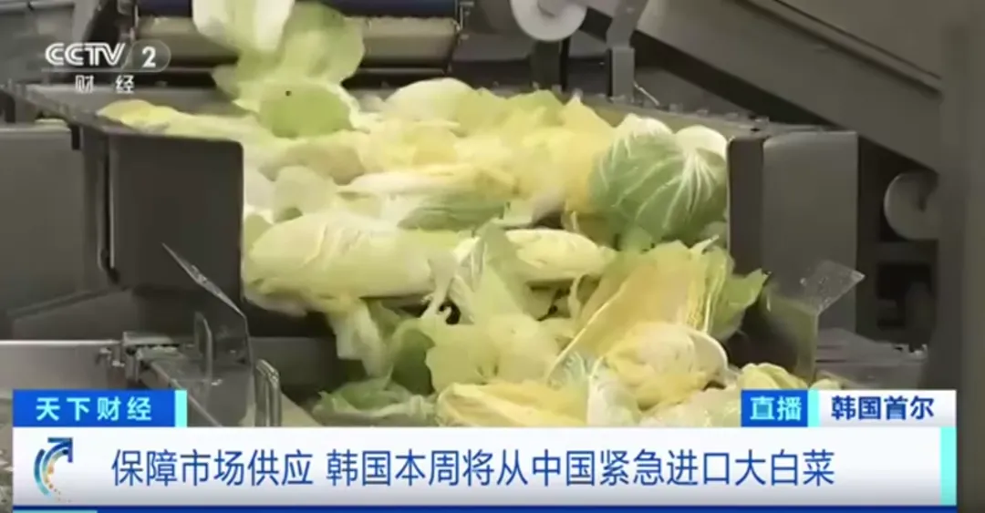 全球数字贸易